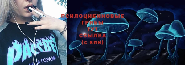 крисы Балабаново