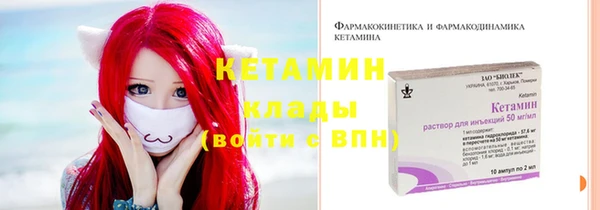 молекула духа Арсеньев
