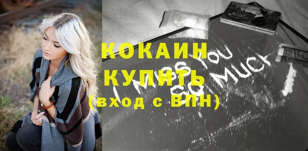 молекула духа Арсеньев