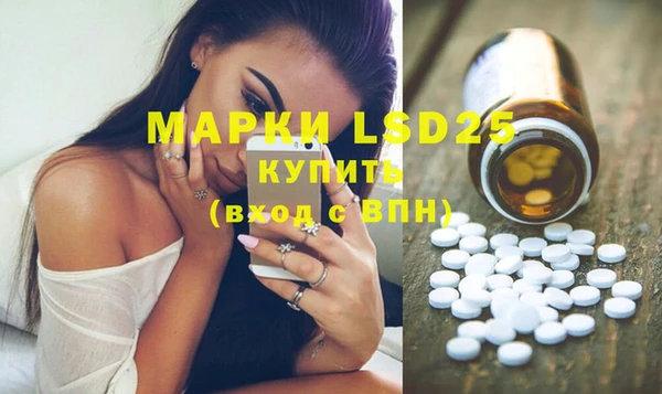 молекула духа Арсеньев