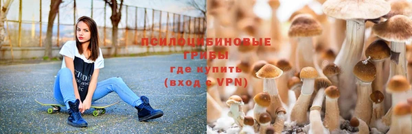 крисы Балабаново