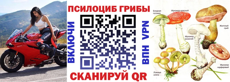 Псилоцибиновые грибы GOLDEN TEACHER  как найти наркотики  Луза 